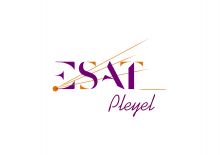 ESAT PLEYEL (ESAT), 93240 Stains (Seine-Saint-Denis)