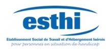 ESAT ESTHI (ESAT), 38400 Saint-Martin-d&#039;H&egrave;res (Isère)